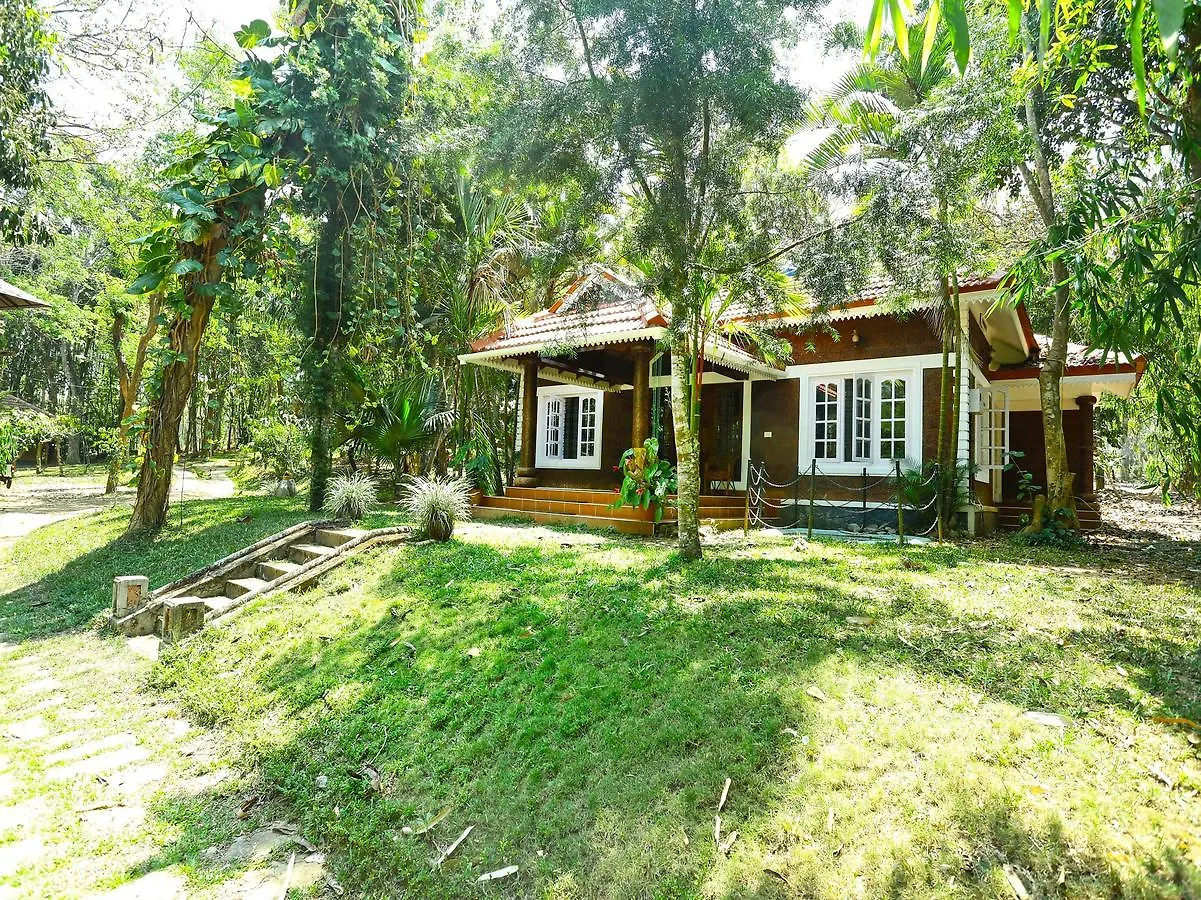 Oyo 11681 Wayanad Blooms 호텔 칼파타 3*,